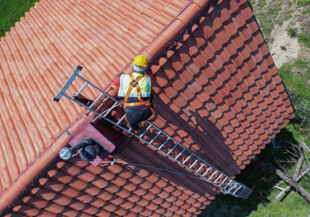 Best Skylight Installation and Repair  in Desert View Highlands, CA